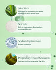 OSEA Sea Minerals Mist