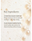 ILIA Beauty The Cleanse Soft Foaming Cleanser