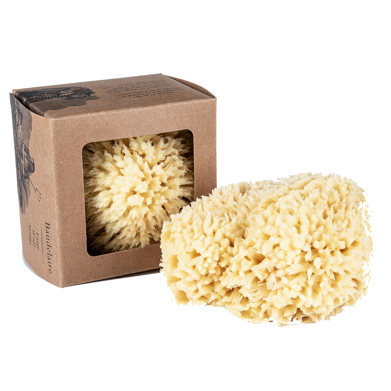 Baudelaire Small Wool Sponge