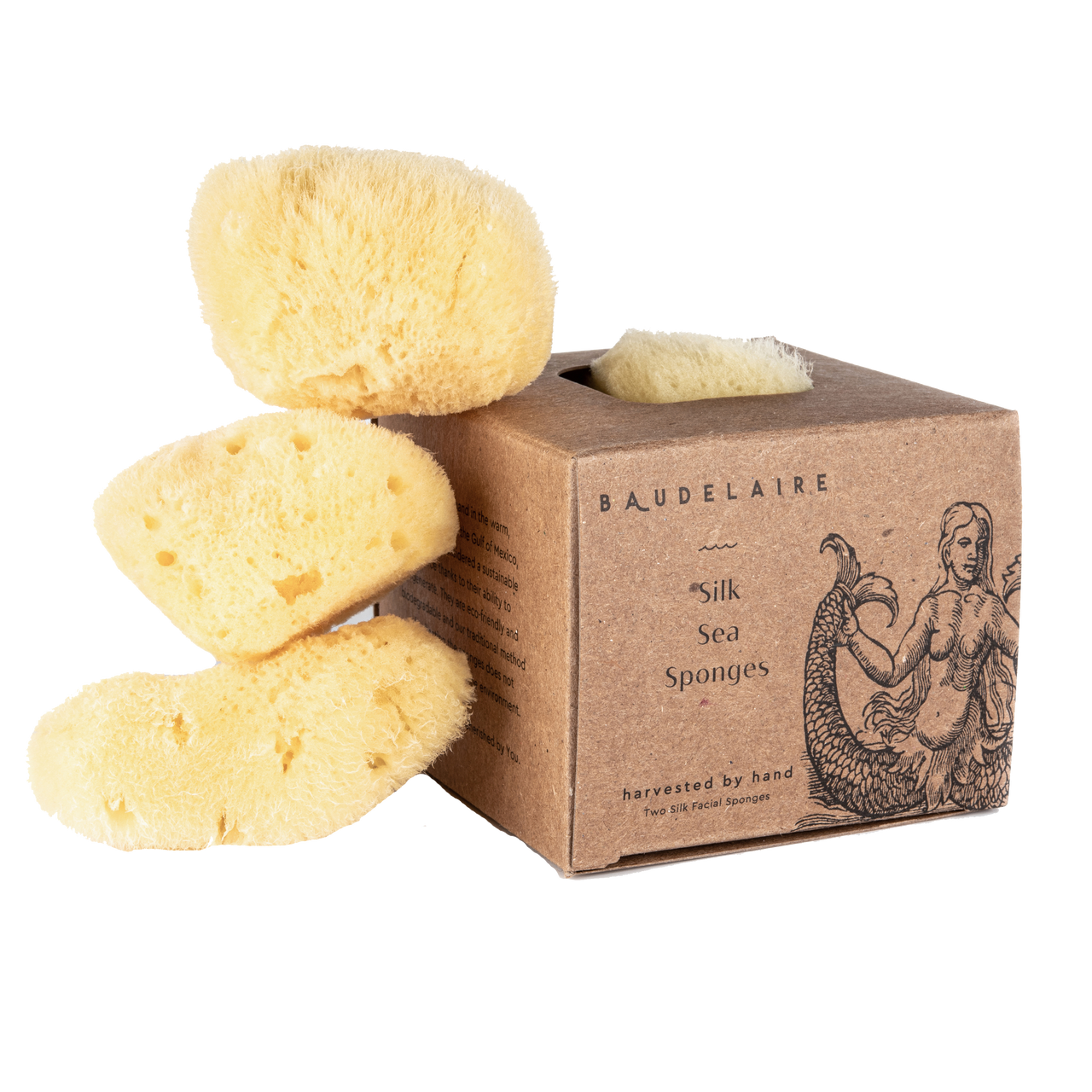 Baudelaire Silk Sea Sponges