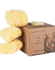 Baudelaire Silk Sea Sponges
