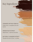 ILIA Beauty Skin Rewind Complexion Stick
