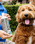 Petbiotics Prebiotic Dog Shampoo