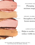 Westman Atelier Super Loaded Tinted Highlight