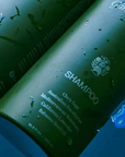 Flamingo Estate Rosemary & Ionian Bergamot Shampoo