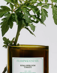 Flamingo Estate Roma Heirloom Tomato Candle