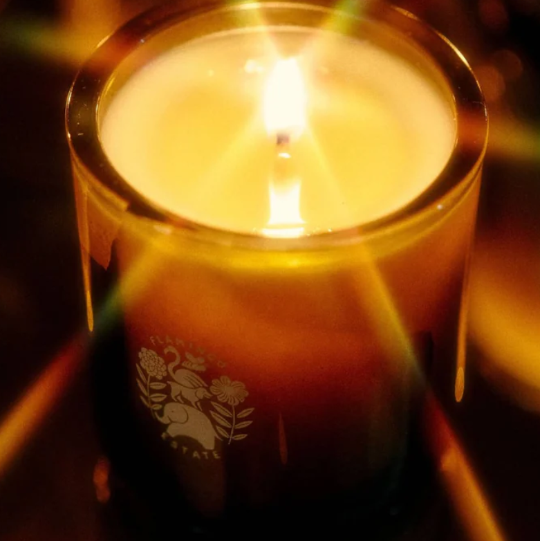 Flamingo Estate Climbing Tuscan Rosemary Candle