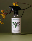 Koala Eco Glass Cleaner