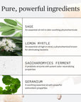 Ursa Major Sublime Sage Spray Deodorant