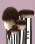 ILIA Beauty Perfecting Buff Brush
