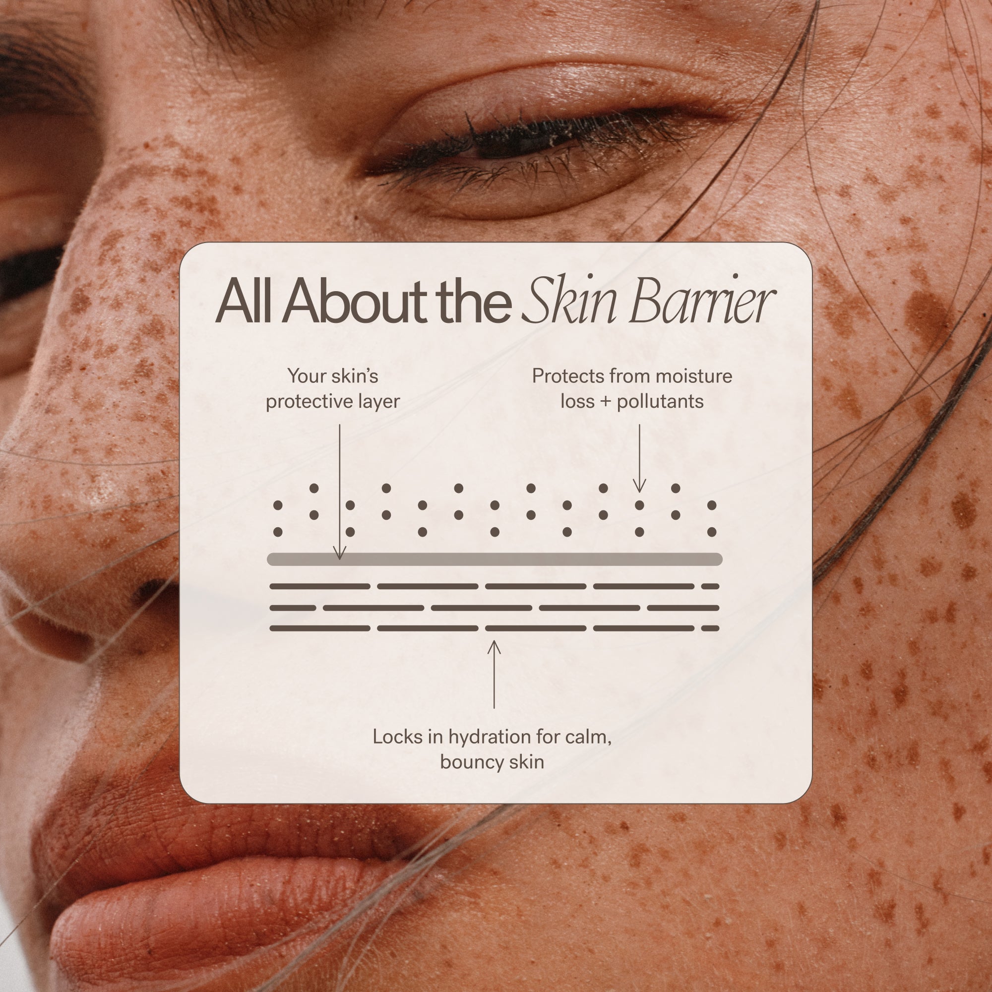 ILIA Beauty Barrier Build Skin Protectant Cream
