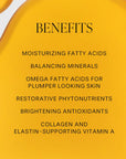 Vintner's Daughter Active Botanical Serum™