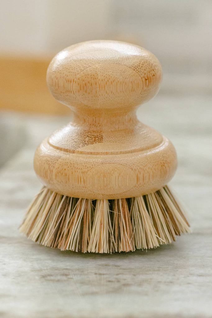Casa Agave Pot Scrubber Brush