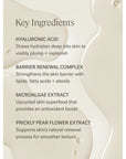 ILIA Beauty The Base Face Milk