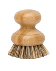 Casa Agave Pot Scrubber Brush