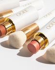 OGEE The Blender Brush