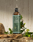 Aleavia Coastal Woodlands Mens Body Cleanse
