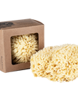 Baudelaire Small Wool Sponge