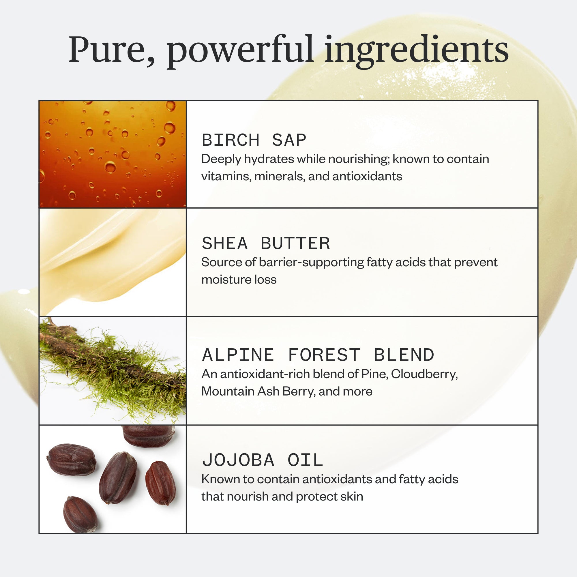 Ursa Major Botanic Buzz Hand Cream