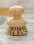 Casa Agave Pot Scrubber Brush