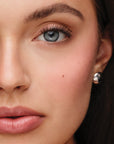 Westman Atelier The Eyeshadow Holiday Edit