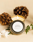 Slow North Candle Forest Bathing