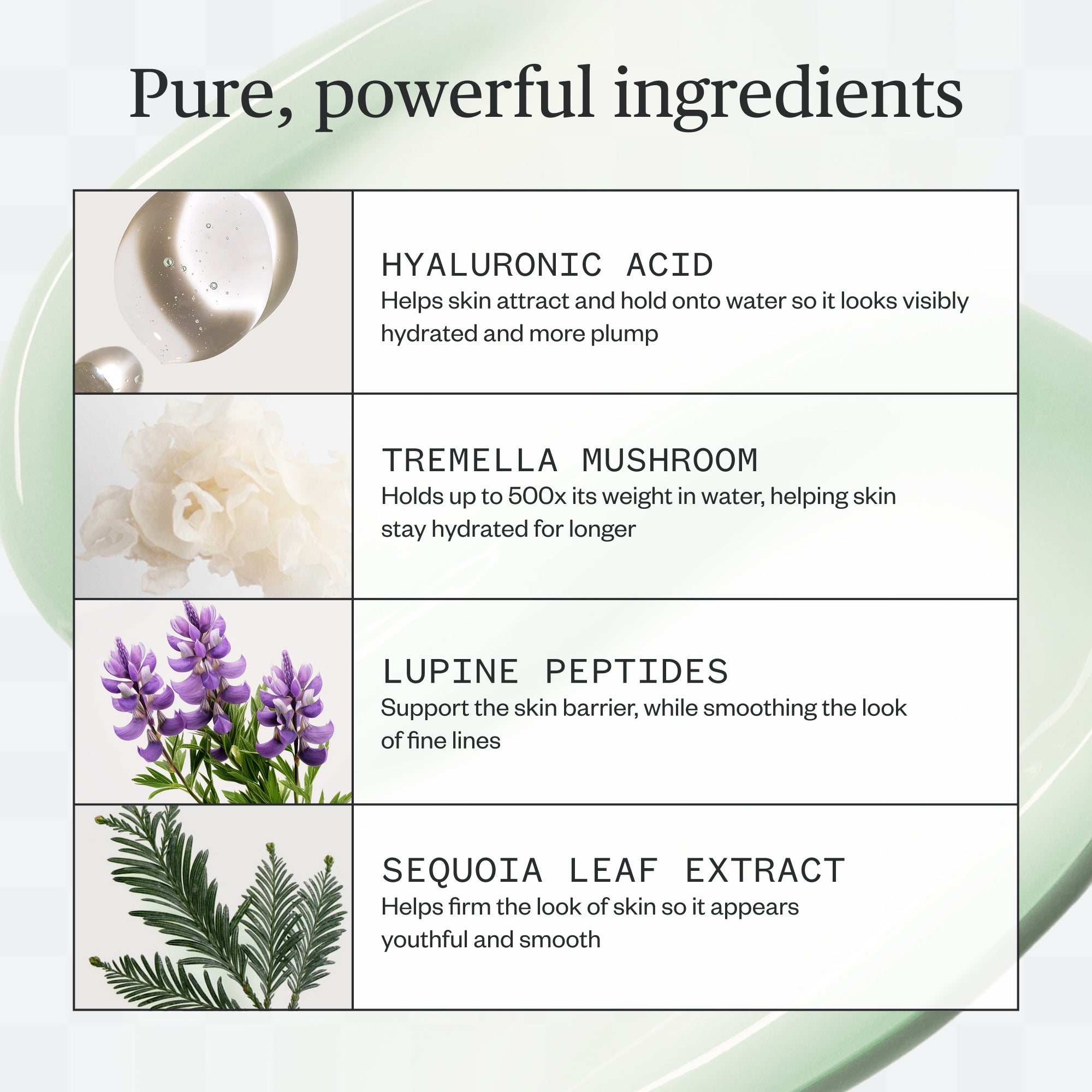 Ursa Major Forest Water Hyaluronic Serum