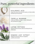Ursa Major Forest Water Hyaluronic Serum