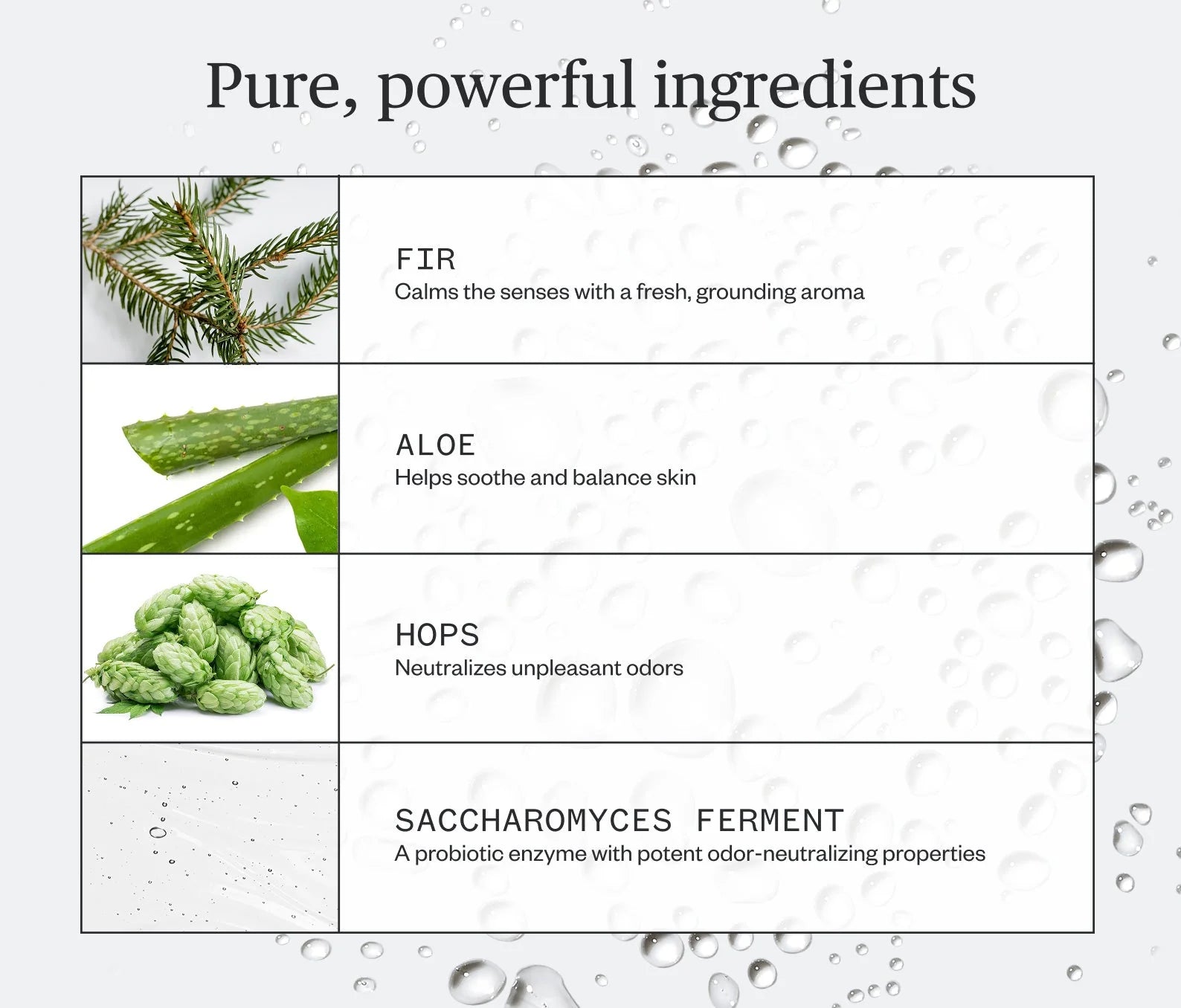 Ursa Major Forest Fix Spray Deodorant