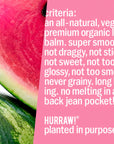 Hurraw! Watermelon Lip Balm