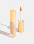 OGEE Complexion Perfecting Concealer