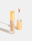 OGEE Complexion Perfecting Concealer