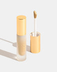OGEE Complexion Perfecting Concealer