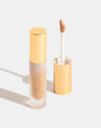 OGEE Complexion Perfecting Concealer