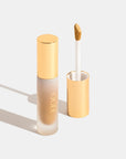 OGEE Complexion Perfecting Concealer