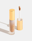 OGEE Complexion Perfecting Concealer