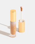 OGEE Complexion Perfecting Concealer