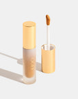 OGEE Complexion Perfecting Concealer