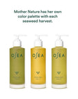 OSEA Undaria Algae Body Oil