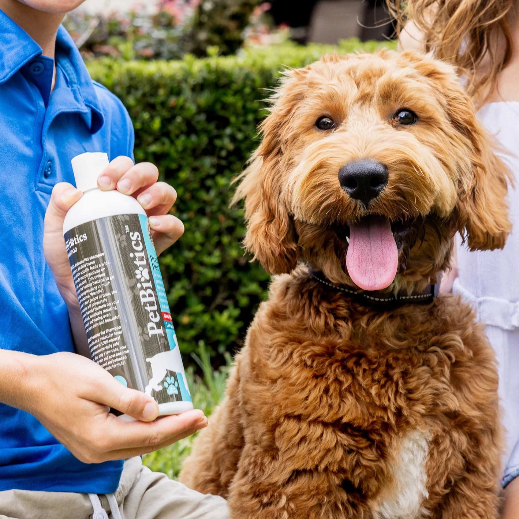 Petbiotics Prebiotic Dog Shampoo