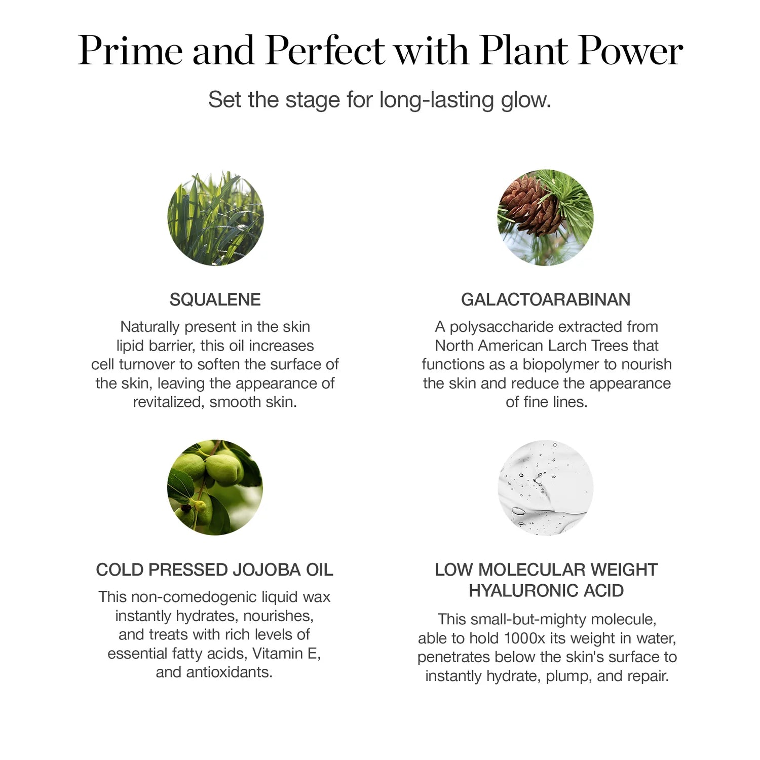 OGEE Activated Botanical Primer