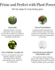 OGEE Activated Botanical Primer