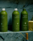 Flamingo Estate Rosemary & Clary Sage Body Wash