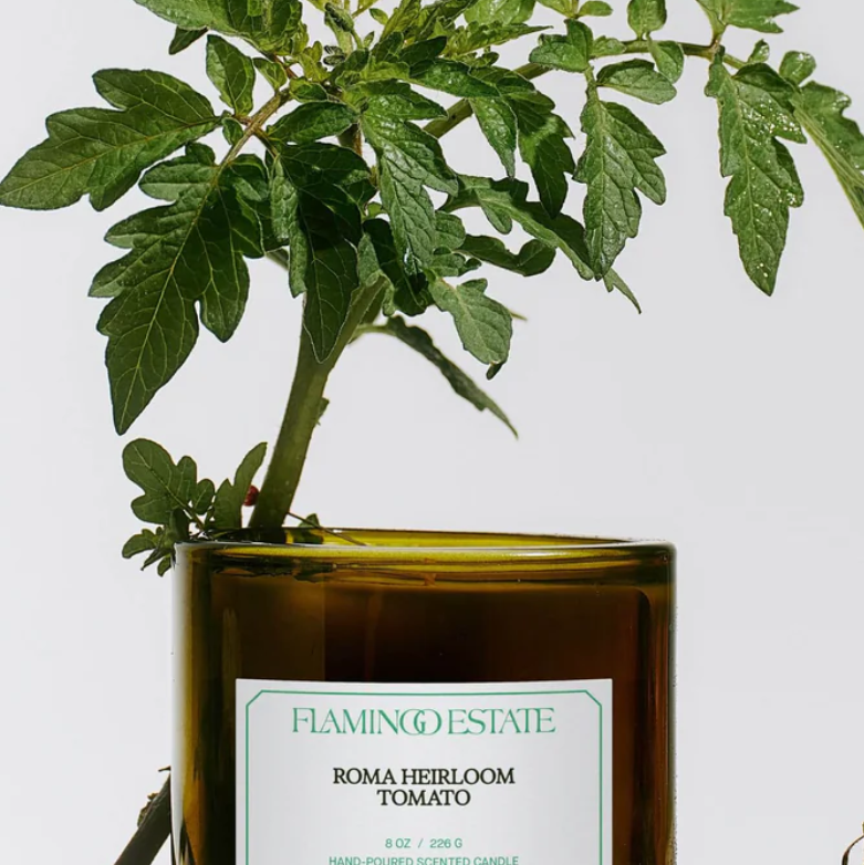 Flamingo Estate Roma Heirloom Tomato Candle