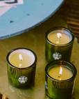 Flamingo Estate Douglas Fir & Ancient Vetiver Candle