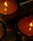 Flamingo Estate Douglas Fir & Ancient Vetiver Candle