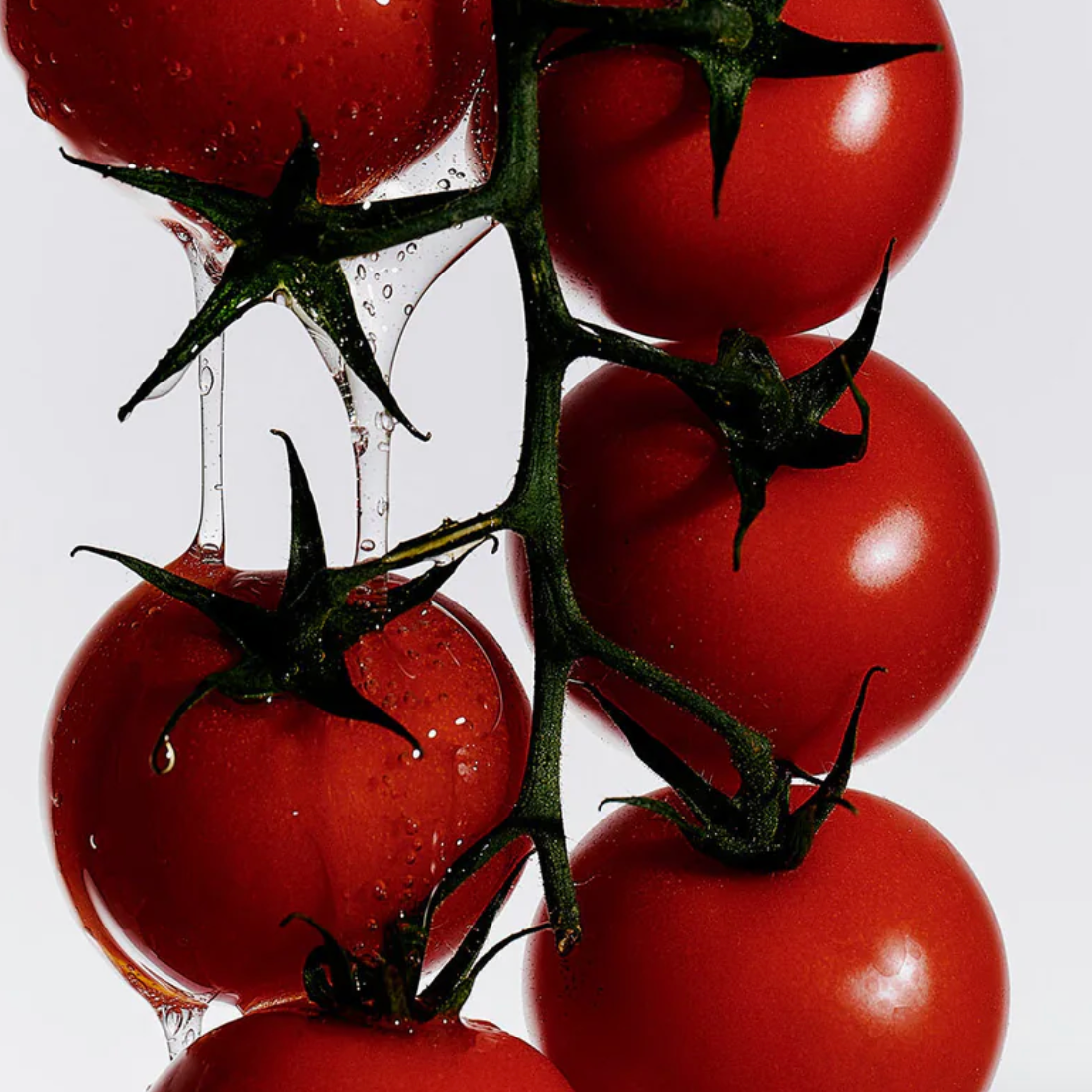 Flamingo Estate Heirloom Tomato Hand Soap