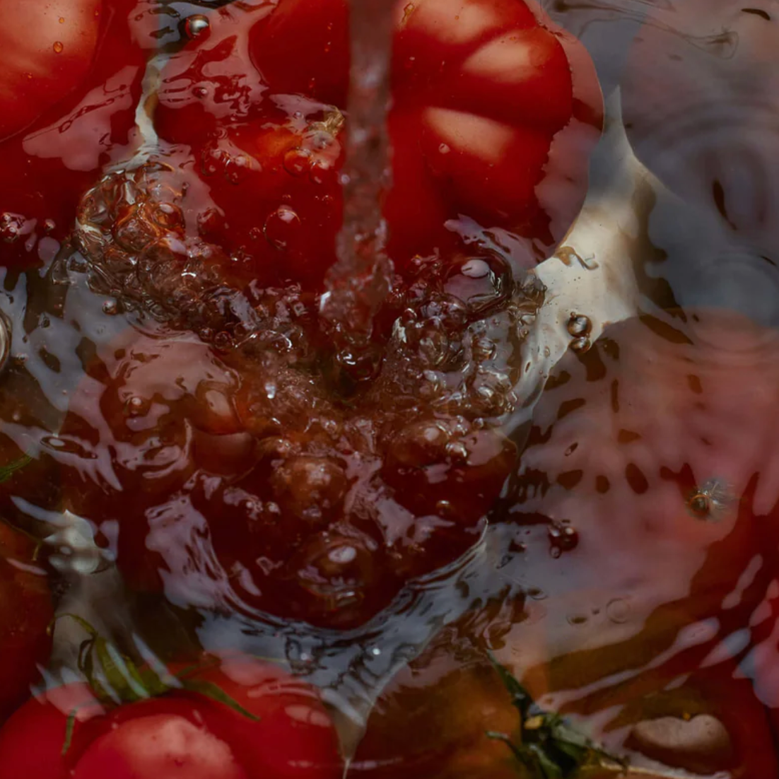 Flamingo Estate Heirloom Tomato Hand Soap