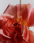 Flamingo Estate Jasmine Damask Rose Glass Hand Soap
