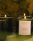 Flamingo Estate Golden Pollinator Candle